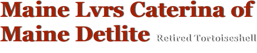 Maine Lvrs Caterina of 
Maine Detlite Retired Tortoiseshell
Maine Coon Cats, Meet the Queens ...
