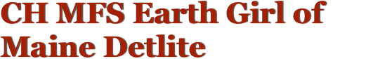 CH MFS Earth Girl of 
Maine Detlite Maine Coon Cats, Meet the Queens ...