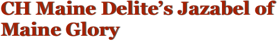CH Maine Delite’s Jazabel of Maine Glory Maine Coon Cats, Meet the Queens ...  
Jazabel is now retired and living in her forever home.