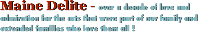 Maine Delite - over a decade of love and admiration for the cats that were part of our family and extended families who love them all !
