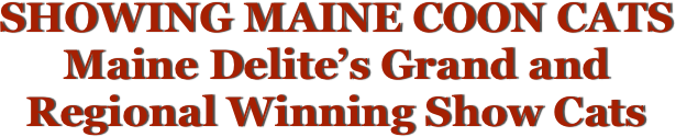 SHOWING MAINE COON CATS
Maine Delite’s Grand and              Regional Winning Show Cats