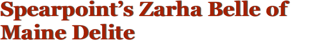 Spearpoint’s Zarha Belle of Maine Delite
     Maine Coon Cat, Meet the Queens... Zarha is retired and living with her forever family.